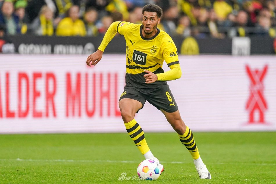 这种智慧和 这种智慧和